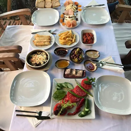 호텔 Olivia Ortaca (Mugla)